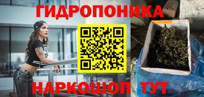крисы Ливны