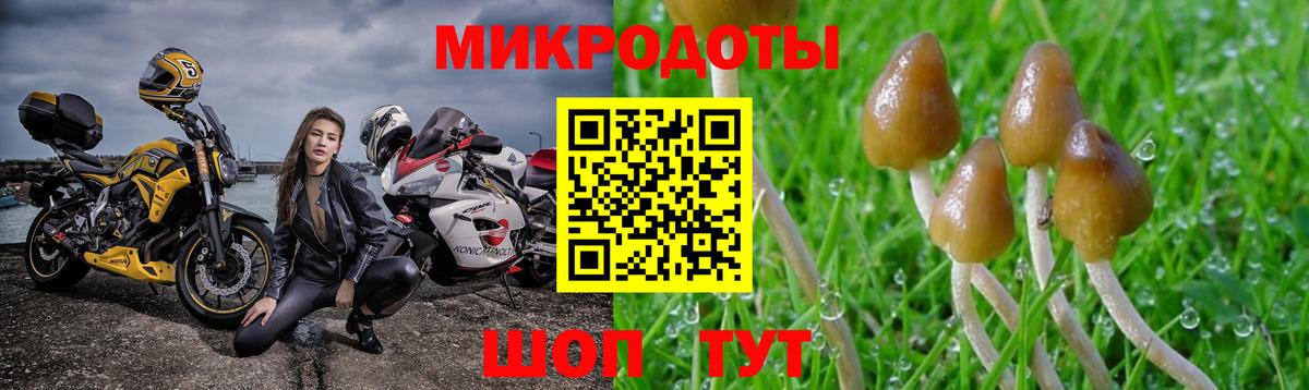 Сорочинск  Галлюциногенные грибы MAGIC MUSHROOMS  Вход с VPN 